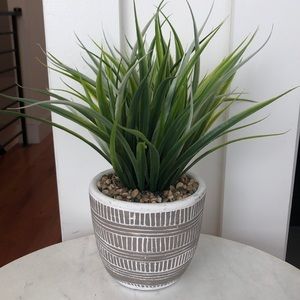 Faux Snake Plant